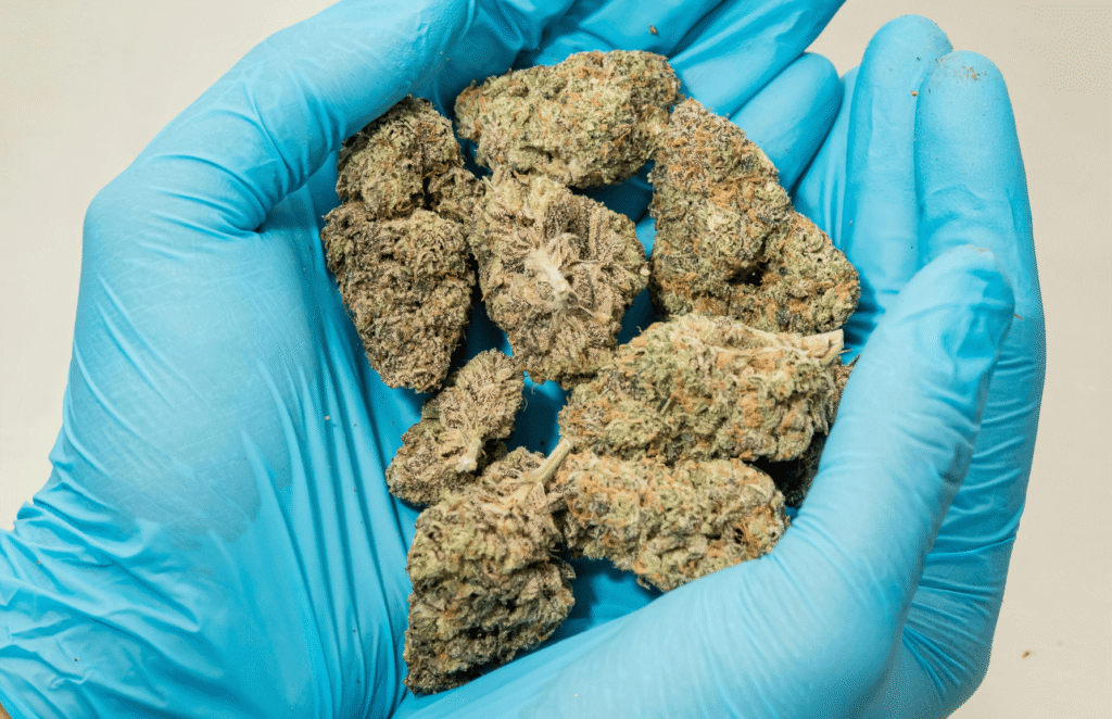 Medical Marijuana Flowers