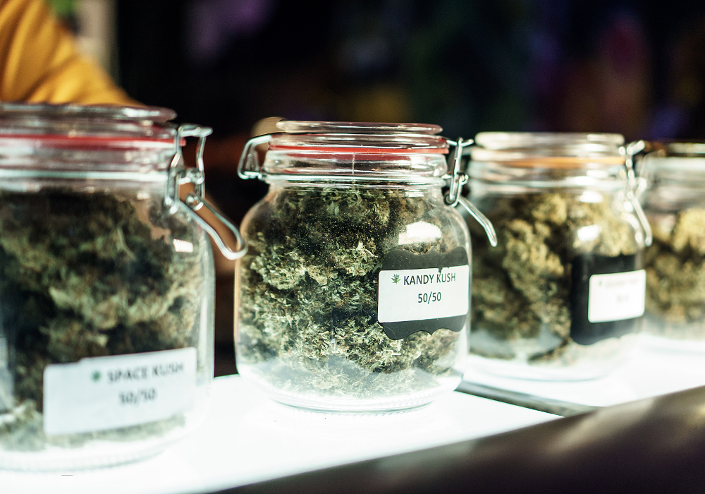 Cannabis Jars on Dispensary Table