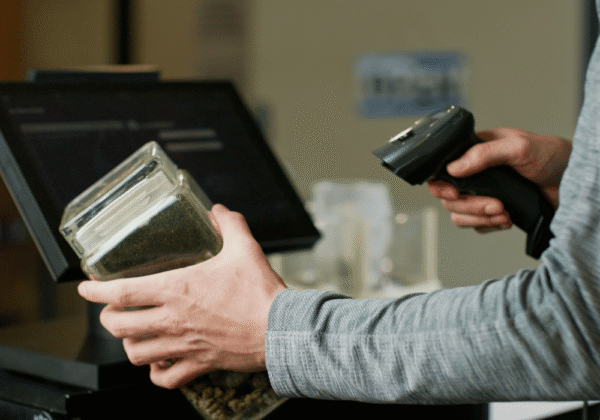 Cannabis Worker in a Store