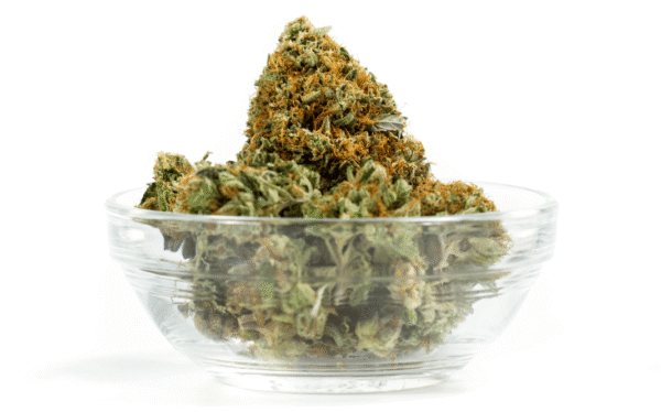 Medical cannabis flower in a bowl